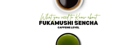 Fukamushi Sencha Kofein_ Co potřebujete vědět