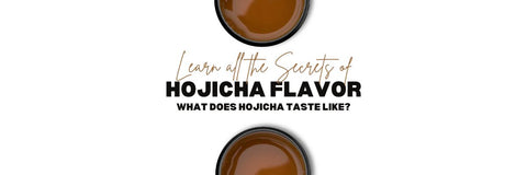 Hojicha Chuť naučit, co dělá Hojicha chutnat jako