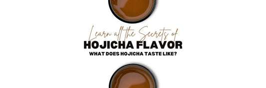 Hojicha Chuť naučit, co dělá Hojicha chutnat jako