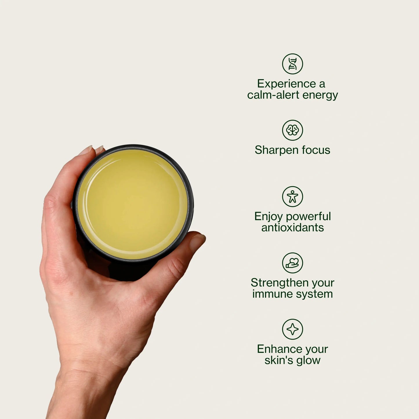 Hora Chanoka Sencha