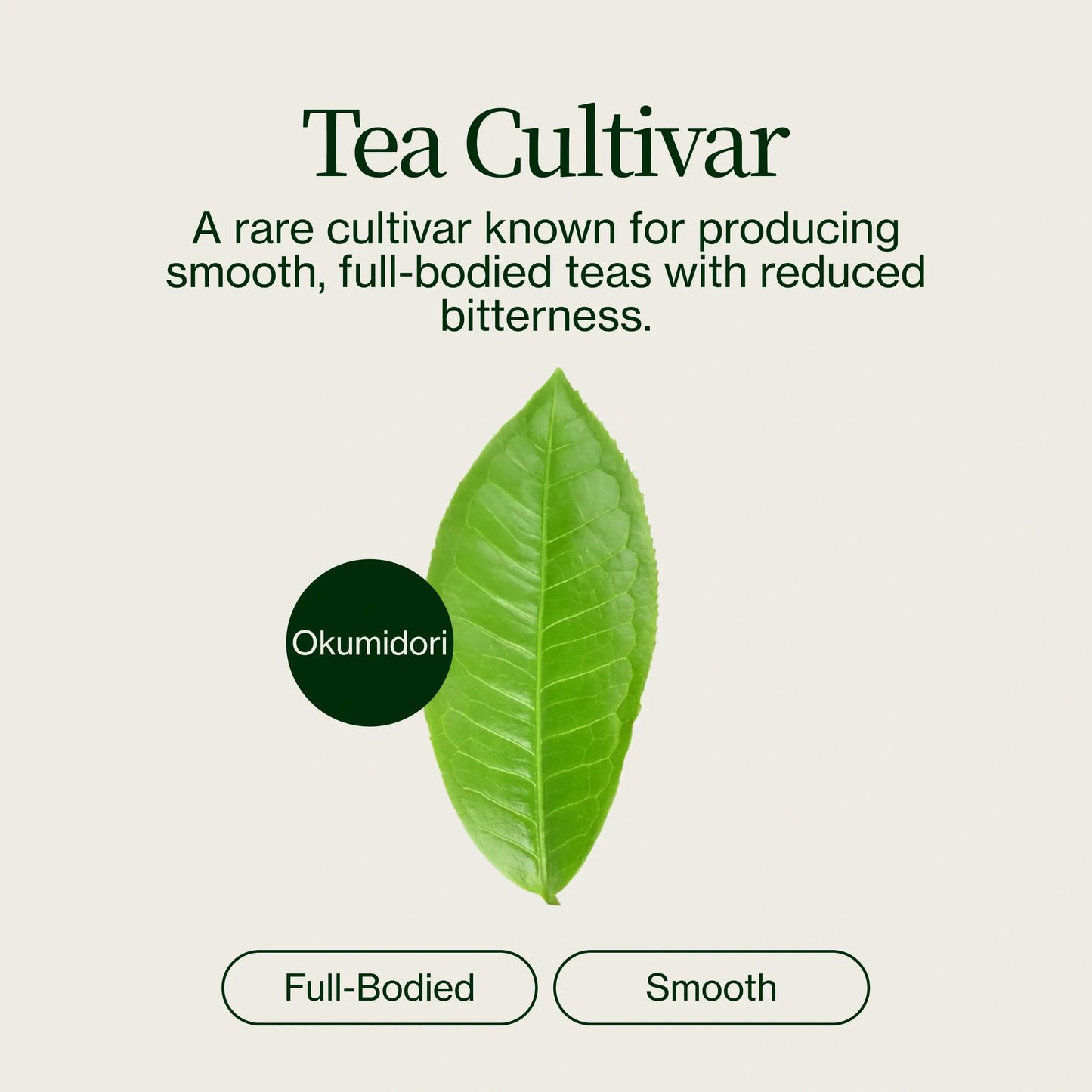 Uji Okumidori Miyako