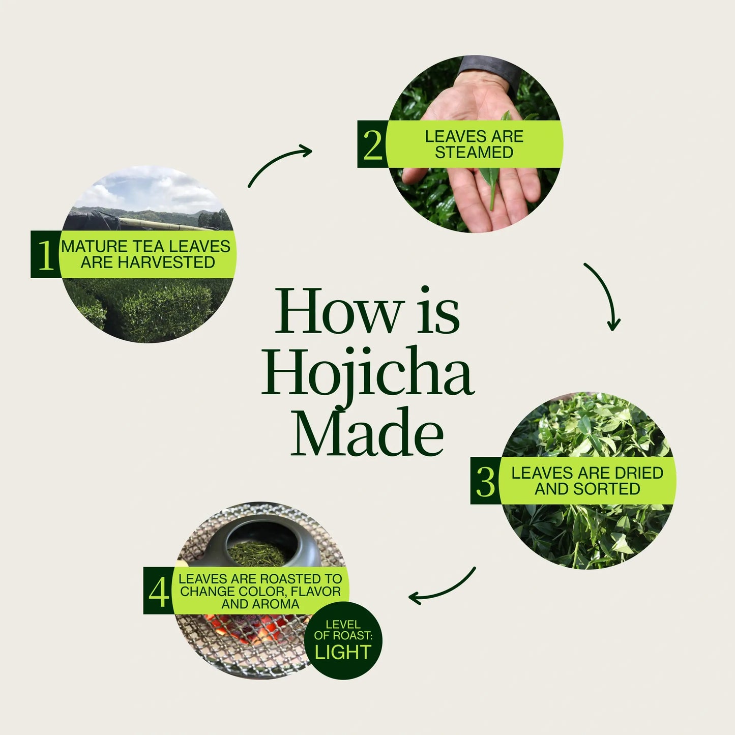 Pečený Hojicha Zelený Čaj Noike