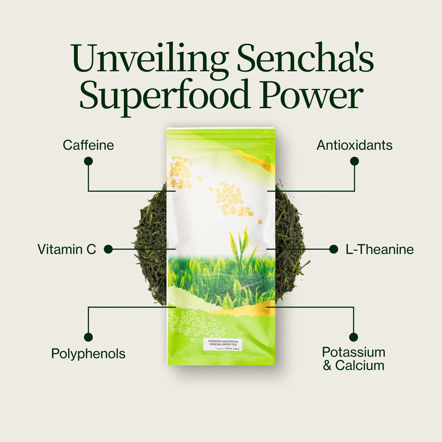 Hora Chanoka Sencha