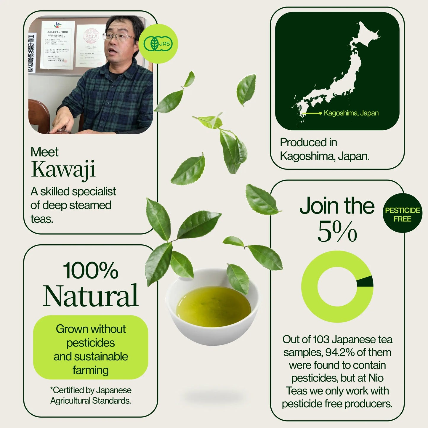 Fukamushi Sencha Kagošima Murasaki
