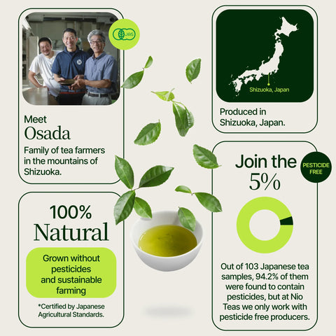 Japonský čaj Matcha Osada Okumidori