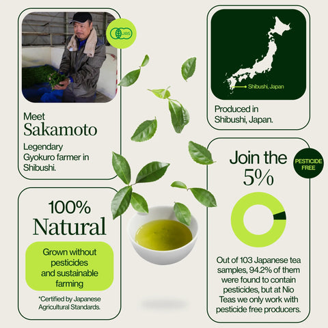 Gyokuro Kiwami Sakamoto