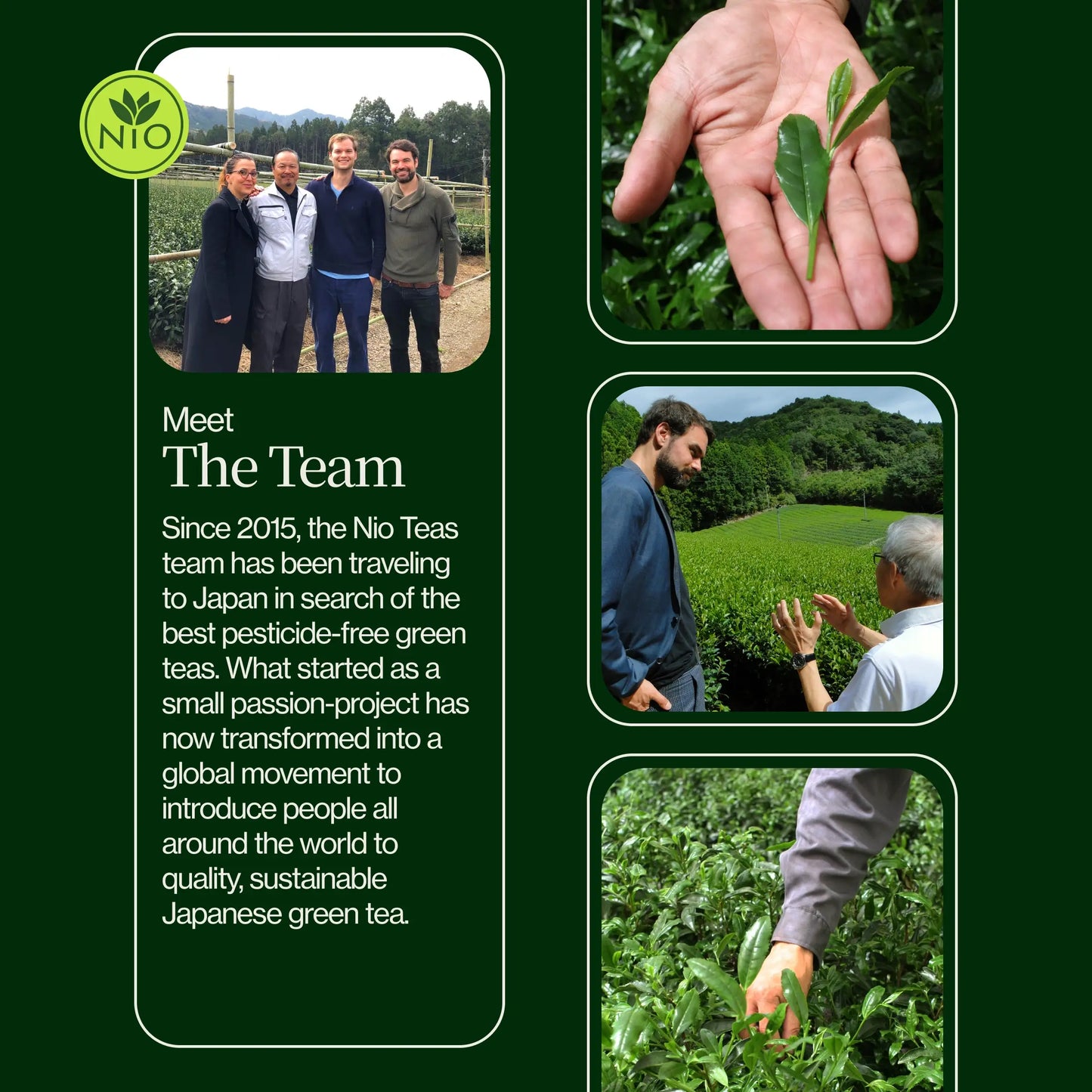 Prémiový Prášek Matcha Latte