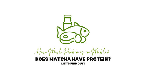má matcha bílkoviny, kolik bílkovin je v matchi
