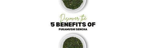Fukamushi Sencha Zdravotní Přínosy
