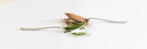 Green Tea vs Coffee Caffeine - It’s not what you think!