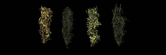 What to Look for When Buying Tea