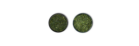fukamushi vs Sencha