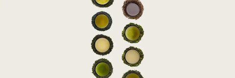 The Green Tea with Highest egcg - You’d be Surprised