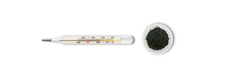 Gyokuro teplota spařování