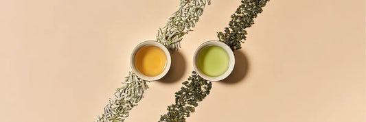 White Tea vs Green Tea: What Sets Them Apart