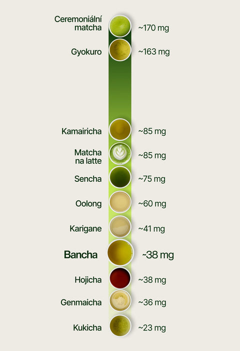 6ad76443a17af_caffeine_chart_bancha_cs.webp