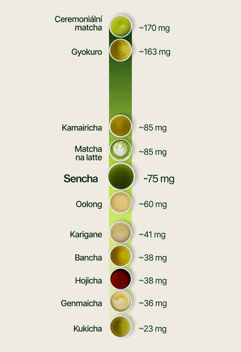 6ad76444a6f54_caffeine_chart_sencha_cs.webp