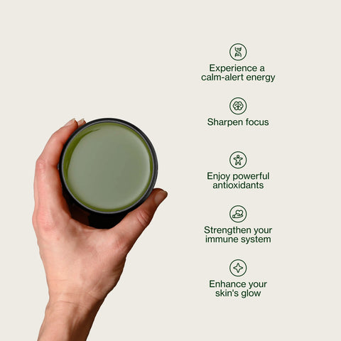 Sencha Shizuku s Matcha prášek