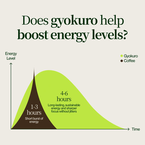 Gyokuro Kiwami Sakamoto