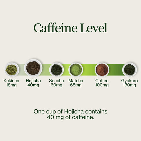 Pražený zelený čaj Hojicha Noike