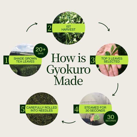 Gyokuro Kiwami Sakamoto
