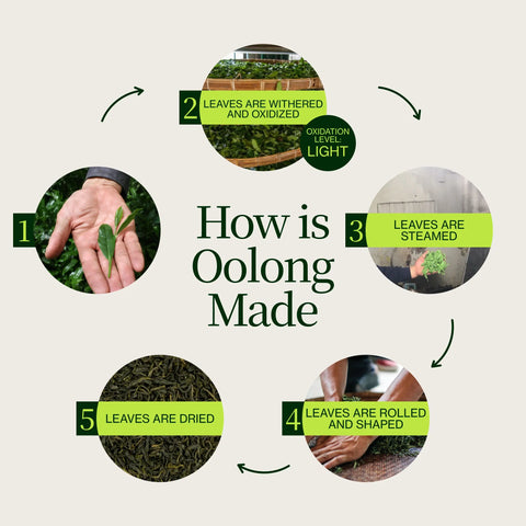 Vysokohorský Oolong čaj Miyazaki