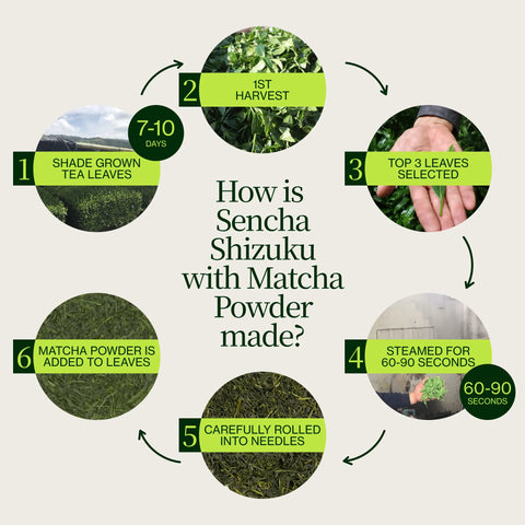 Sencha Shizuku s Matcha prášek