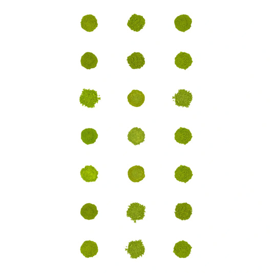 Vzorník čaje Matcha (21 balení)