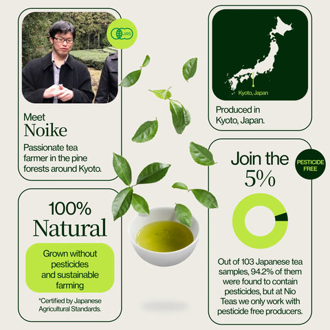 Pražený zelený čaj Hojicha Noike