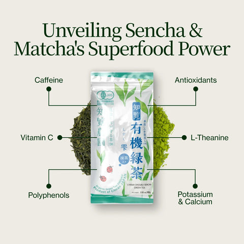 Sencha Shizuku s Matcha prášek