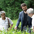 pěstitelé čaje