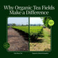 Chanoka Kukicha Green Tea