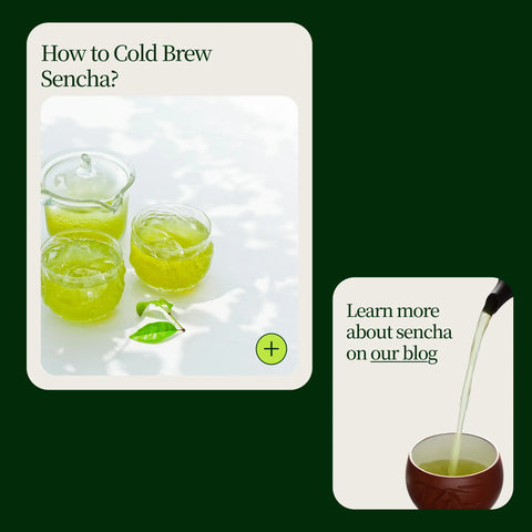 Sencha Shizuku s Matcha prášek