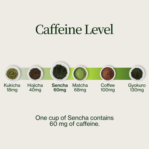 Sencha Shizuku s Matcha prášek