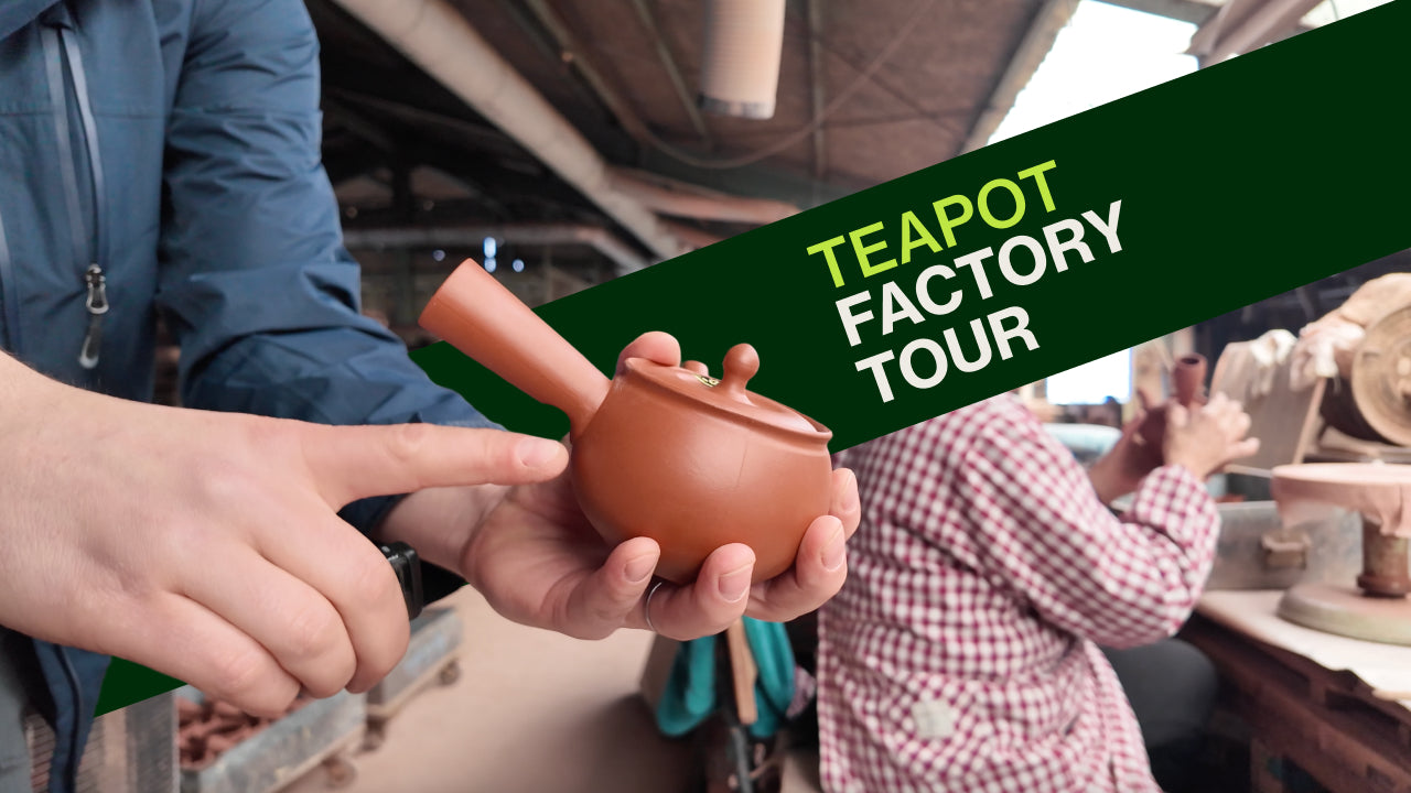 Načíst video: Everything You Need To Know About Japanese Green Tea