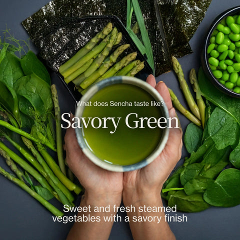 Sencha Shizuku s Matcha prášek