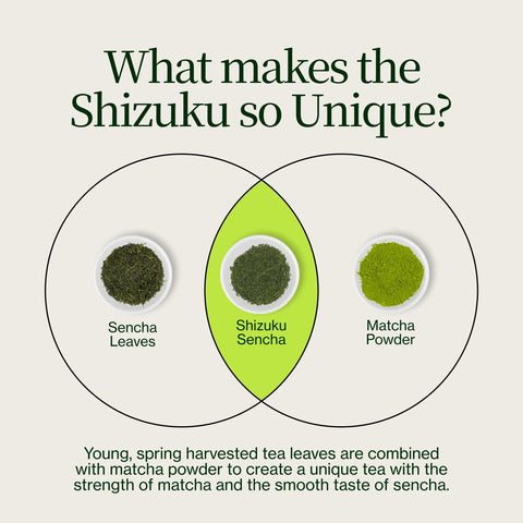 Sencha Shizuku s Matcha prášek