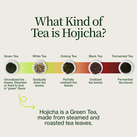 Pražený zelený čaj Hojicha Noike