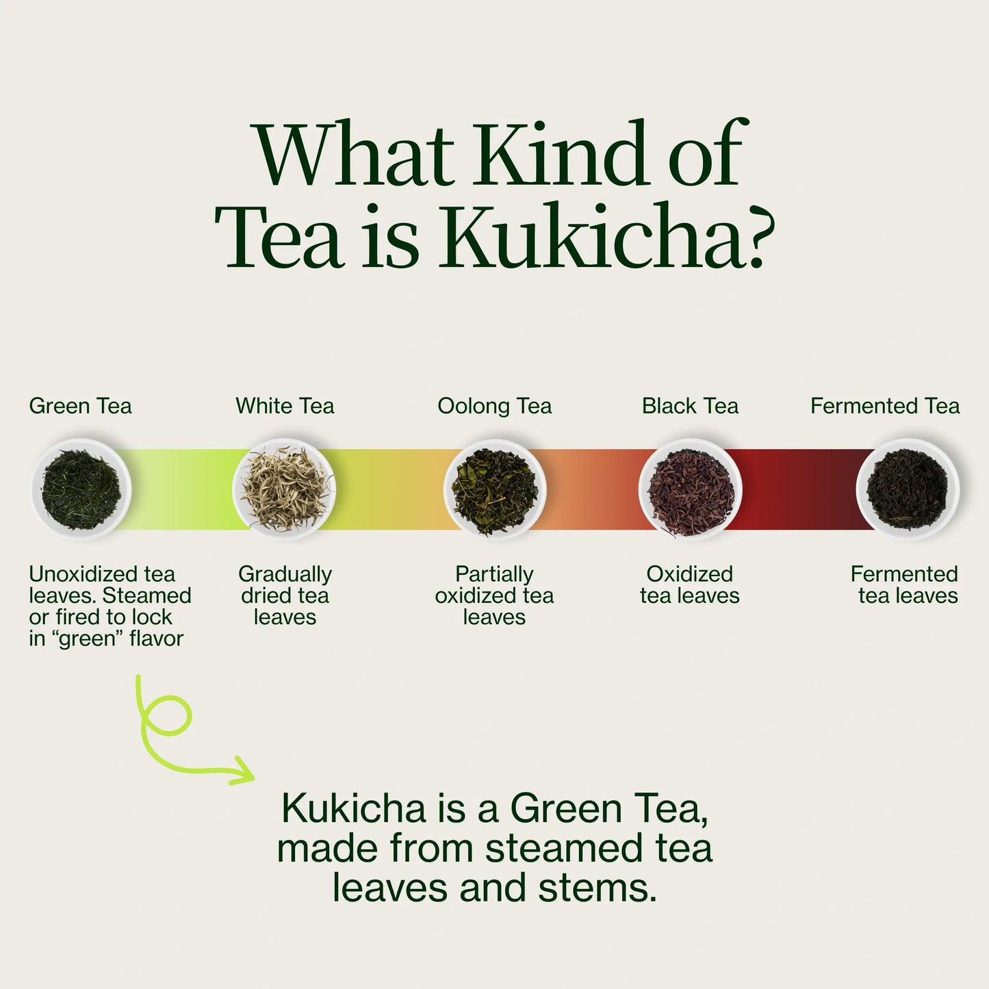 Chanoka Kukicha Green Tea