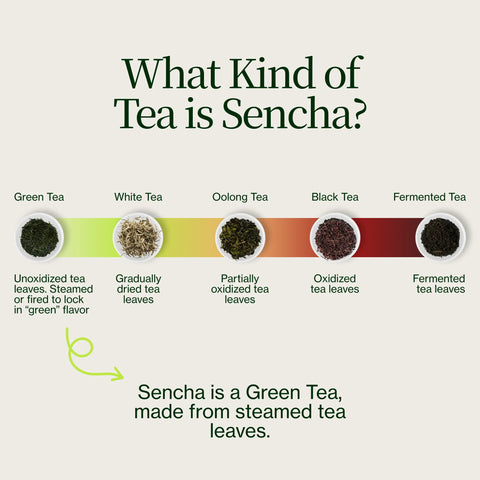 Sencha Shizuku s Matcha prášek